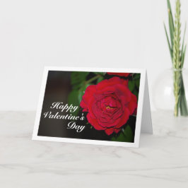 Cartão Retrato Noturno de Rosa Vermelha