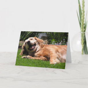 Cartão Retriever de ouro
