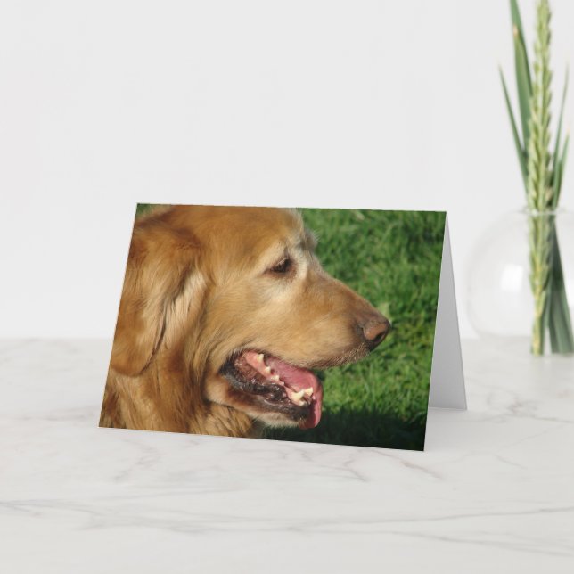 Cartão Retriever de ouro (Frente)
