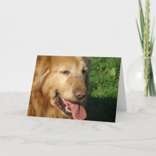 Cartão Retriever de ouro