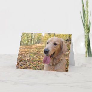 Cartão Retriever de ouro