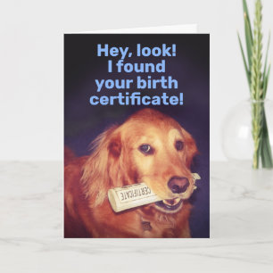 Cartão Retriever de Ouro Bonito com Certificado de Nascim