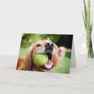 Cartão Retriever de ouro com esfera de Tênis