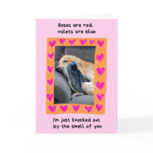 Retriever de Ouro engraçado com Namorados Calçado