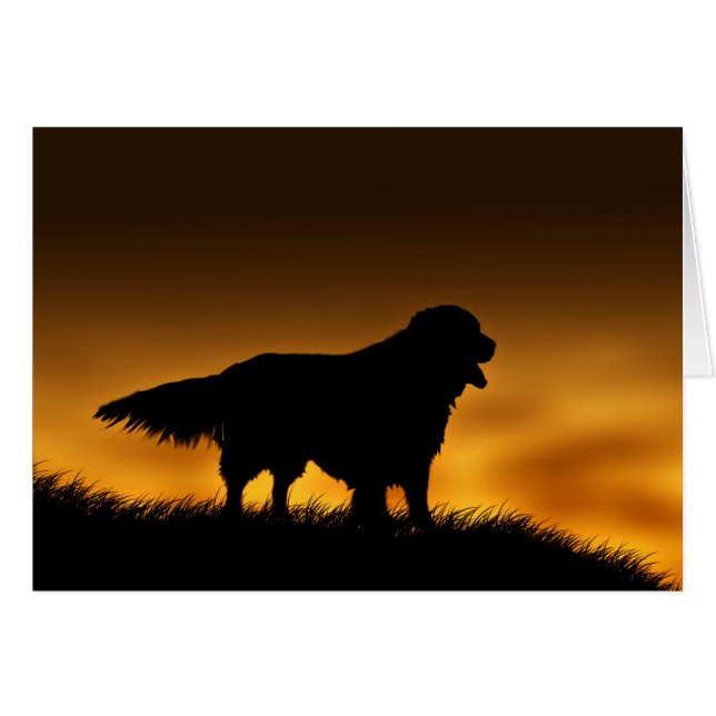 Cartão Retriever de Ouro Fiel (Frente Horizontal)