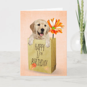 Cartão Retriever de ouro no 17º Bag de Aniversário