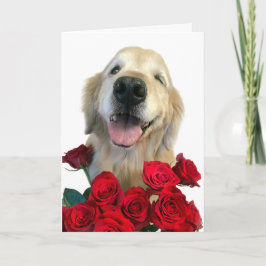 Cartão Retriever de Ouro Winthrol com Dia de as mães de R