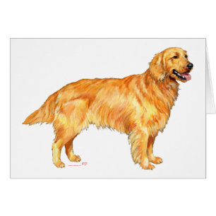Cartão Retriever Dourado