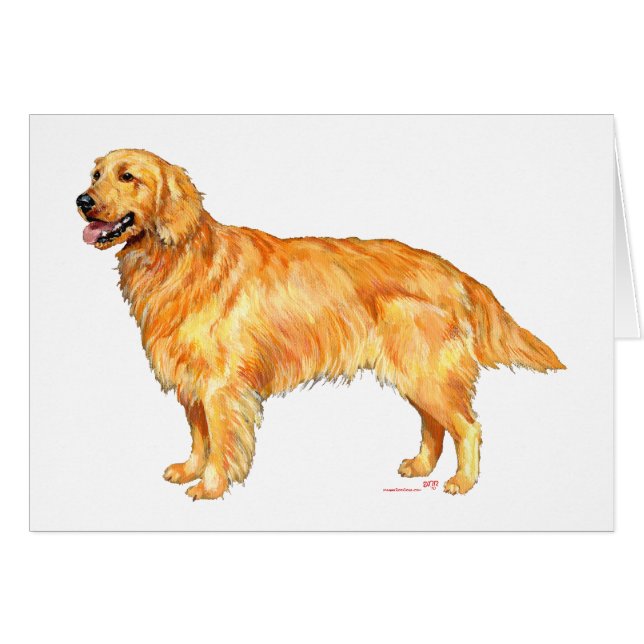 Cartão Retriever Dourado (Frente Horizontal)