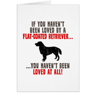 Cartão Retriever Liso-Revestido