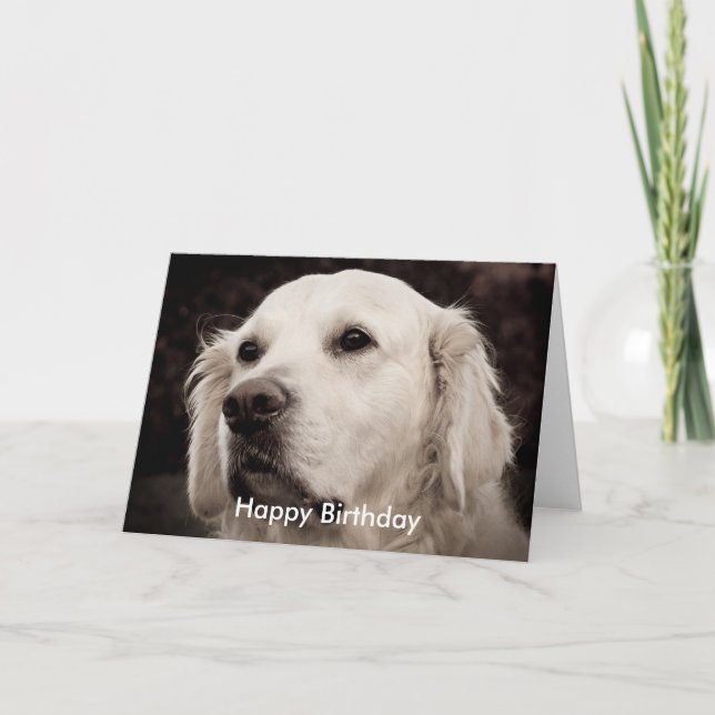 Cartão Retriever - Ouro (Frente)