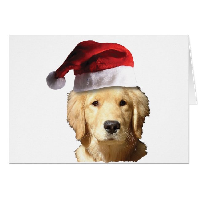 Cartão Retriever Ouro de Natal (Frente Horizontal)