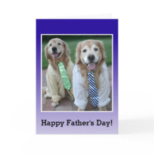 Retriever ouro em Camisa e Dia de os pais