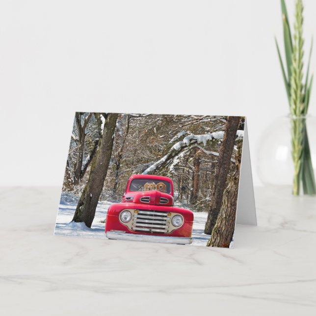 Cartão Retrievers de ouro na placa-caminhonete vermelha (Frente)