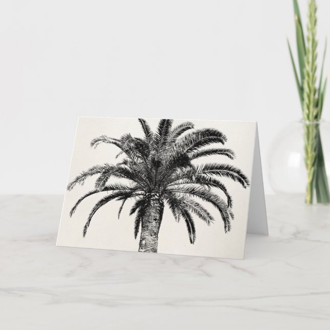 Cartão Retro Tropical Island Palm Tree in Black and White (Frente)
