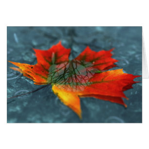 Cartão Retroreflection