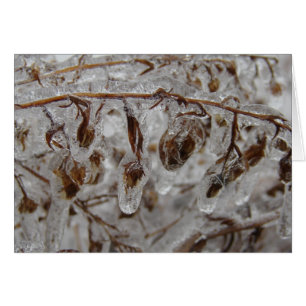 Cartão Revestimento De Gelo
