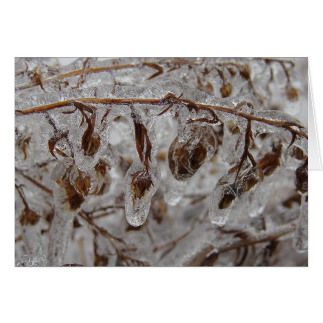 Cartão Revestimento De Gelo (Frente Horizontal)