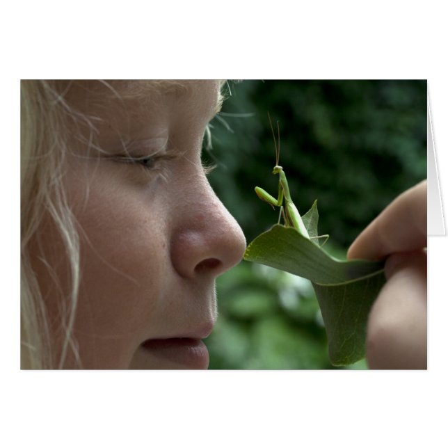 Cartão Rezando Mantid (Frente Horizontal)