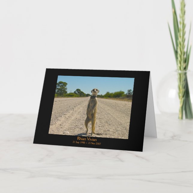 Cartão Rhian Legends Card (Frente)