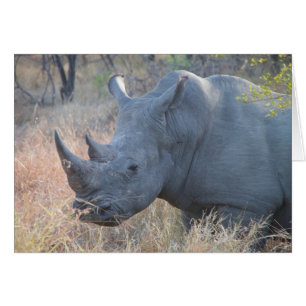 Cartão Rhino