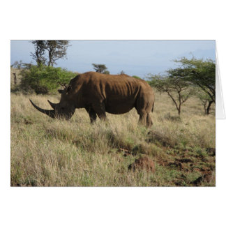 Cartão Rhino
