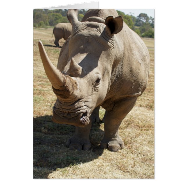 Cartão Rhino Charging (Frente)