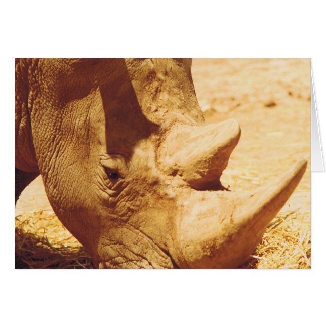 Cartão Rhinoceronte Love (Frente Horizontal)