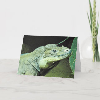 Cartão Rhinoceros Iguana