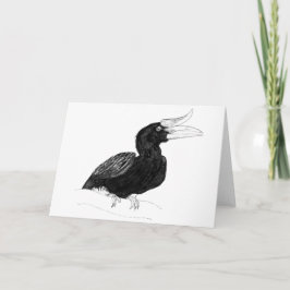 Cartão Rhinocerous Hornbill by Odin