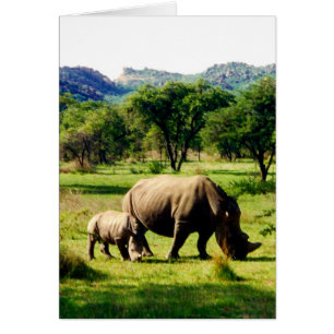 Cartão rhinos