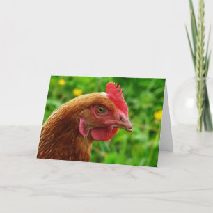 Cartão Rhode Island Red Hen