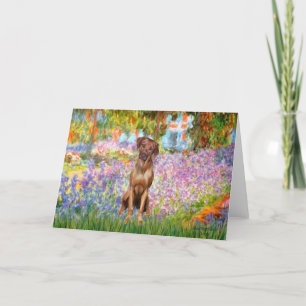 Cartão Rhodesian Ridgeback 1 - Jardim