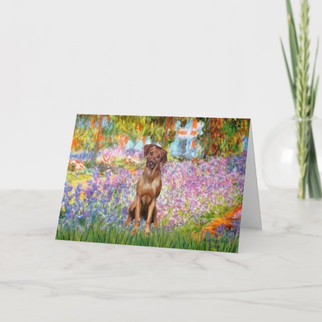 Cartão Rhodesian Ridgeback 1 - Jardim (Frente)