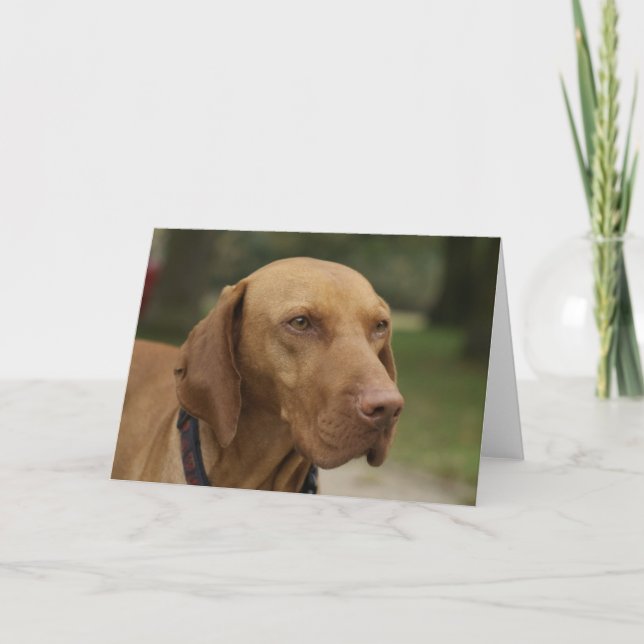 Cartão Rhodesian Ridgeback Dog Greeting Card (Frente)