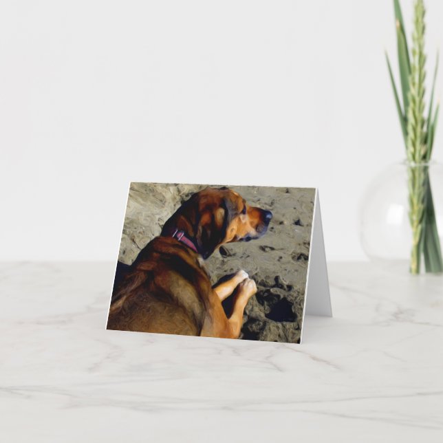 Cartão Rhodie nos óleos (Frente)