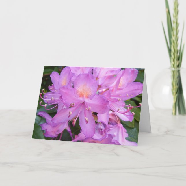 Cartão Rhododendron Flower Birthday Card (Frente)