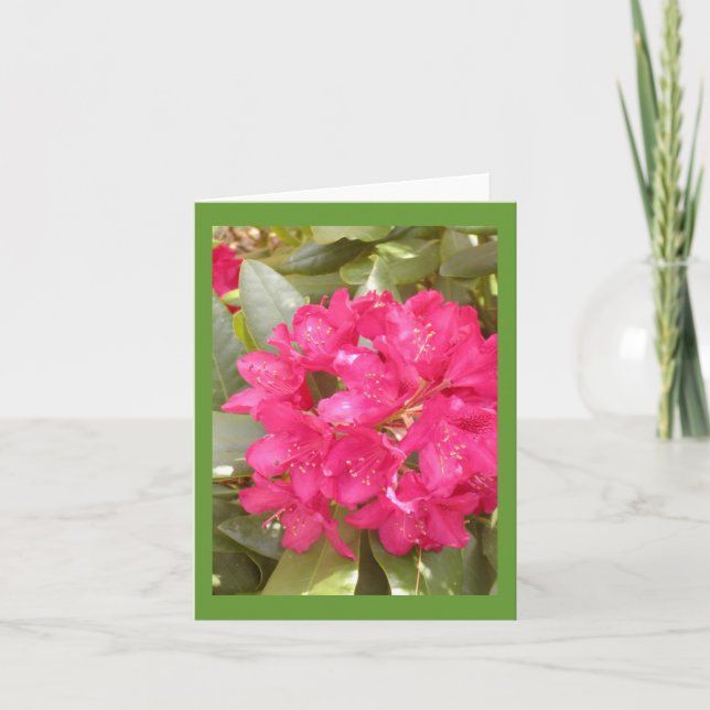 Cartão Rhododendron Flower greeting card (Frente)