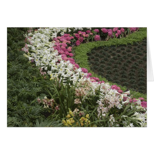 Cartão Rhododendron (Rhododendron catawbiense) Heath (Frente Horizontal)