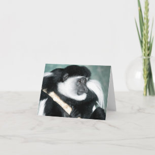 Cartão Ricci Colobus