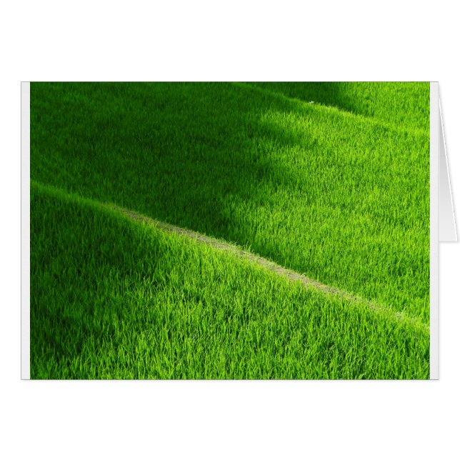 Cartão Rice Terraces Yamada's Rice Fields Japão (Frente Horizontal)