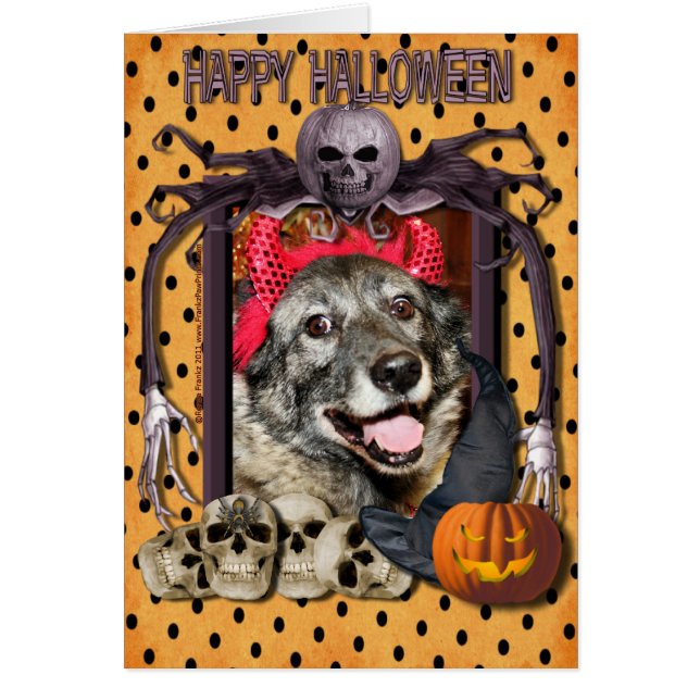 Cartão Rico - Elkhound norueguês - Salsman (Frente)