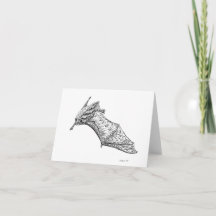 Ricos: Placa de estiramento da asa M. lucifugus