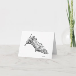 Cartão Ricos: Placa de estiramento da asa M. lucifugus