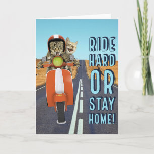 Cartão Ride Hard or Stay Home - Cats on a Moped