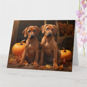Cartão Ridgeback Ridgeback Puppy Autumn Delight Pumpkin