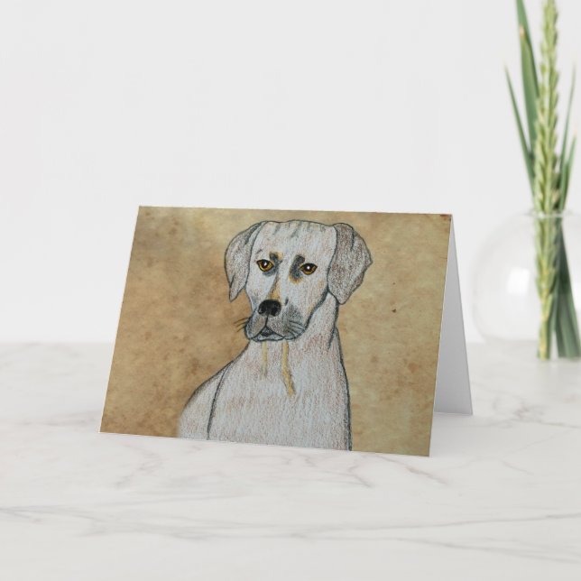 Cartão Ridgeback rodesiano (Frente)