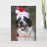 "Rindo o caminho todo..."