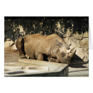 Cartão Rino dormindo