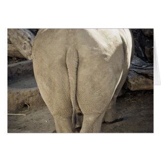 Cartão Rinoceronte